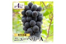 美作市産　ニューベリーA　約4kg(7～8房)【1477225】