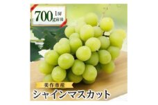 美作市産シャインマスカット700g前後　1房【1295227】