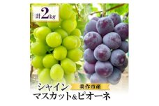 美作市産シャインマスカット1～2房&ピオーネ2房のセット　合計2kg【1398701】