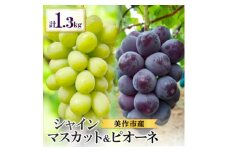 美作市産　シャインマスカット&ピオーネ　合計約1.3kg(各1房)【1477223】