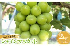 岡山県美作市産 シャインマスカット 2kg【1609174】