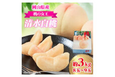 岡山県産　清水白桃　3kg(8～9玉)【1615820】