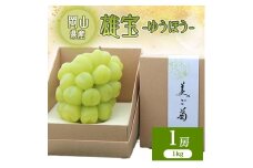雄宝　1房　1キロ【1616174】