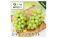 ＜家庭用＞美作市産シャインマスカット　2kg以上(3～5房)【1147811】