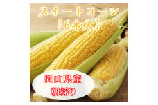 岡山県美作市産　スイートコーン6本【1625095】