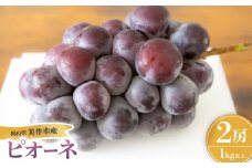 岡山県産ピオーネ 2房【1625969】