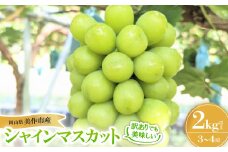 ＜訳あり＞シャインマスカット 2Kg【1631232】