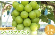 美作市産シャインマスカット1Kg【1626496】