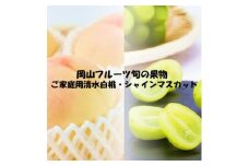 ＜発送月固定定期便＞＜ご家庭用＞岡山旬のフルーツ 清水白桃とシャインマスカット全2回【4069072】