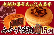 饅頭 まんじゅう みかげ饅頭 15個 金悦堂《30日以内に発送予定(土日祝除く)》 和菓子 お茶請け 岡山県 浅口市