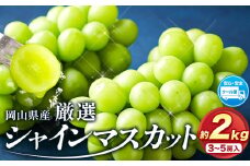 シャインマスカット【2025年先行予約】厳選 訳あり シャインマスカット 約 2kg 3~5房《2025年9月中旬-11月上旬頃出荷》岡山県 浅口市 シャインマスカット ぶどう フルーツ 果物 贈り物 ギフト 国産 岡山県産 送料無料 ブドウ