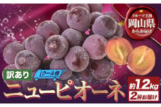 【先行予約】訳あり ニューピオーネ 約1.2kg 2房 葡萄 果物 秋旬 訳あり 優品 厳選出荷 スイーツ フルーツ デザート 岡山県 浅口市《2025年9月中旬から11月上旬に発送予定(土日祝除く)》ブドウ ぶどう ご家庭用