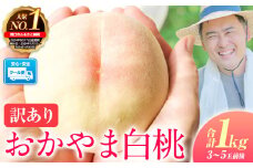 桃 もも【2025年先行予約】ご家庭用/訳あり おかやま白桃 もも 1kg 3~5玉前後 岡山県産《2025年6月下旬-9月上旬頃出荷》岡山県 浅口市 白桃 黄桃 白鳳 清水白桃 おかやま夢白桃 川中島白桃 白皇 黄金桃 果物 桃 2025 先行 桃 先行予約2025 桃 先行予約2025 桃 白鳳 桃 