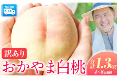 桃 ～とろける甘さ 味に訳なし!!～ 訳あり 岡山の桃 約1.3kg 4~8玉前後 岡山　県産《2025年6月下旬-9月上旬頃出荷》岡山県 浅口市 白桃 黄桃 はなよめ 日川白鳳 白鳳 清水白桃 おかやま夢白桃 川中島白桃 白皇 黄金桃 果物 フルーツ 桃 2025 先行