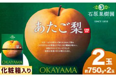 【2025年先行予約】あたご 梨 約750g×2玉 化粧箱 石原果樹園 《2025年11月中旬-2026年1月上旬頃出荷》岡山県 浅口市 フルーツ 果物 ギフト 贈り物 国産 岡山県産 送料無料