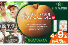 【先行予約】梨 あたご梨 4～9玉 計4.5kg 贈答箱 石原果樹園 《2025年11月中旬-1月上旬頃より発送予定》岡山県 浅口市 フルーツ 果物 ギフト 贈り物 国産 岡山県産 送料無料