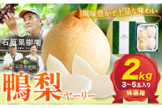 【先行予約】梨 なし 鴨梨 ヤーリー 贈答箱 2kg (3～5玉入り) 石原果樹園 《2025年11月下旬-2026年1月上旬頃より発送予定》岡山県 浅口市 果物 フルーツ お取り寄せ お取り寄せフルーツ 送料無料
