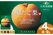 【2025年先行予約】あたご 梨 4〜9玉 約4kg 化粧箱 石原果樹園 《2025年11月中旬-1月上旬頃出荷》岡山県 浅口市 フルーツ 果物 ギフト 贈り物 国産 岡山県産 送料無料