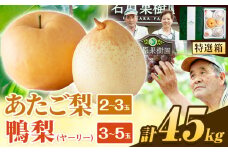 【先行予約】梨 なし 4.5kg あたご梨 2 ～ 3玉 鴨梨 3 ～ 5玉 贈答箱 石原果樹園 なし フルーツ 果物 新鮮《2025年11月中旬-2026年1月上旬頃より発送予定》岡山県 浅口市 果物 フルーツ 梨 詰め合わせ 贈答用