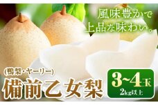 【先行予約】梨 なし 乙女梨 3~4玉 2kg 以上 石原果樹園 《2025年11月中旬-2026年1月上旬頃より発送予定》岡山県 浅口市 果物 フルーツ 梨 鴨梨 備前乙女梨 ヤーリー