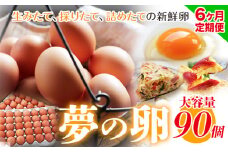 【６ヶ月定期便】卵 たまご 定期便 赤玉 夢の卵 90個《お申込み月翌月から出荷開始》株式会社めぐみ 岡山県 浅口市 送料無料 大容量 大箱 たっぷり 定期