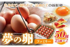 卵 たまご 赤玉 夢の卵 ファミリー 50個《90日以内に出荷予定(土日祝除く)》株式会社めぐみ 岡山県 浅口市 送料無料 25個 × 2セット たっぷり 家族 食卓