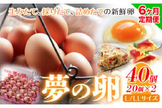 6ヶ月 定期便 卵 たまご 定期便 夢の卵 20個入り x 2セット L/LLサイズ《お申込み月翌月から出荷開始》株式会社めぐみ 岡山県 浅口市 送料無料 大容量 大箱 たっぷり Lサイズ LLサイズ