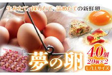 卵 たまご 赤玉 夢の卵 20個入り x 2セット L/LLサイズ《90日以内に出荷予定(土日祝除く)》株式会社めぐみ 岡山県 浅口市 送料無料 大容量 大箱 たっぷり Lサイズ LLサイズ