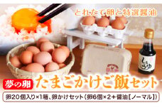 卵 たまご 夢の卵 赤玉 卵かけご飯セット 20個 + 12個 醤油 1本《90日以内に出荷予定(土日祝除く)》株式会社めぐみ 岡山県 浅口市 送料無料 6個 × 2セット 卵かけごはん
