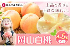 【2025年先行予約】桃 もも 岡山白桃 4~5玉 約1kg 岡山県産 環山堂株式会社《2025年7月上旬-8月中旬頃出荷》岡山県 浅口市 白桃 果物 フルーツ 送料無料