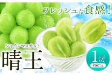 [先行予約]シャインマスカット 晴王 1房(約670g)《2025年9月上旬-10月上旬頃出荷(土日祝除く)》 田口青果 マスカット 送料無料 岡山県 浅口市 シャインマスカット ぶどう フルーツ 果物 贈り物 ギフト 国産 岡山県産 くだもの 果物 青果物【配送不可地域あり】