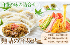 麺詰め合わせ T2 中華麺 焼きそば そうめん 麺工房さかもと《30日以内に出荷予定(土日祝除く)》岡山県 浅口市 送料無料 手延べ セット 贈り物 ギフト 無かんすい 冷やし中華 やきそば 素麺