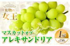【2025年先行予約】マスカットオブアレキサンドリア 1房 (750g以上) ウィズフラワーホールディングス《2025年7月上旬-8月中旬頃出荷》岡山県 浅口市 ぶどう フルーツ 旬 果物 国産 岡山県産 送料無料 冷蔵【配送不可地域あり】（北海道・沖縄・離島）