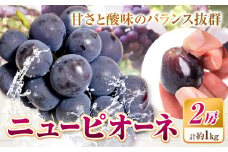 【2025年先行予約】ニューピオーネ 2房 1kg ウィズフラワーホールディングス《2025年9月上旬-10月中旬頃出荷》岡山県 浅口市 ぶどう ピオーネ フルーツ 旬 果物 国産 岡山県産 送料無料 冷蔵 【配送不可地域あり】（北海道・沖縄・離島）