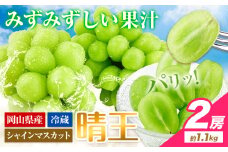 シャインマスカット 岡山県産【2025年先行予約】 シャインマスカット 晴王 2房 約1.1kg《9月上旬-10月上旬頃出荷(土日祝除く)》 ハレノフルーツ マスカット 送料無料 岡山県 浅口市 フルーツ 果物 贈り物 ギフト 国産 岡山県産 くだもの 青果物 【配送不可地域あり】