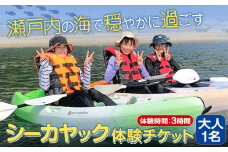 シーカヤックチケット 大人1名 体験時間 3時間 NPO法人あさくちスポーツクラブ遊ぶところ《90日以内に出荷予定(土日祝除く)》岡山県 浅口市 シーカヤック カヤック 体験 大人 チケット 海