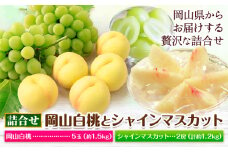 【2025年先行予約】岡山白桃 と シャインマスカット 詰合せ 5玉 約1.5kg 2房 計約1.2kg 環山堂株式会社《2025年7月中旬-8月中旬頃より発送予定》岡山県 浅口市 桃 マスカット ぶどう 詰め合わせ 果物 送料無料