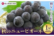 【2025年先行予約】秋の ニューピオーネ 1房 約600g 環山堂株式会社《2025年8月下旬-10月上旬頃より発送予定》岡山県 浅口市 ぶどう 葡萄 ピオーネ フルーツ 果物 送料無料