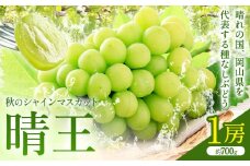 【2025年先行予約】秋のシャインマスカット 晴王 1房 環山堂株式会社《2025年9月上旬-10月中旬頃より発送予定》岡山県 浅口市 シャインマスカット マスカット ぶどう 果物 フルーツ 送料無料