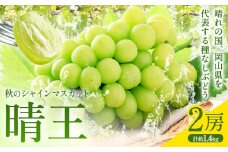 【2025年先行予約】秋のシャインマスカット 晴王 2房 環山堂株式会社《2025年9月上旬-10月中旬頃より発送予定》岡山県 浅口市 シャインマスカット マスカット ぶどう 果物 フルーツ 送料無料