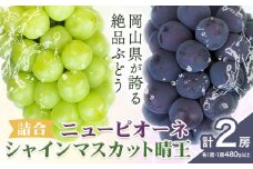 【2026年先行予約】詰合 ニューピオーネ（480ｇ以上）１房・シャインマスカット（晴王480ｇ以上）１房 株式会社山博(中本青果)《2026年8月下旬-10上旬頃出荷》岡山県 浅口市 ぶどう フルーツ ギフト 贈答用 旬 果物 国産 岡山県産 送料無料【配送不可地域あり】