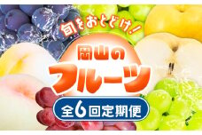 フルーツ 定期便 果物 定期便【2025年先行予約】 定期便6回コース 岡山のフルーツ 清水白桃 6玉 岡山の白桃 6玉 ニューピオーネ 1房 瀬戸ジャイアンツ 1房 シャインマスカット 晴王 2房 紫苑 1房 あたご梨 4~5玉 株式会社山博(中本青果) 《2025年7月上旬-12月下旬頃出荷》岡山県 浅口市【配送不可地域あり】