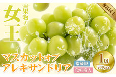 【2025年先行予約】マスカット オブ アレキサンドリア 1房(1房700g以上) 化粧箱入 株式会社山博(中本青果)《2025年7月中旬-7月下旬頃出荷》岡山県 浅口市 ぶどう マスカット 大粒 フルーツ 秀品 旬 果物 贈り物 ギフト 国産 岡山県産 送料無料【配送不可地域あり】