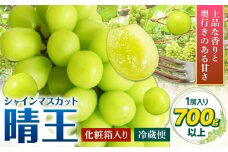 【2025年先行予約】シャインマスカット晴王 はれおう 1房入り(700g以上) 化粧箱入 株式会社山博(中本青果)《2025年8月下旬-10月上旬頃出荷》岡山県 浅口市 ぶどう ブドウ マスカット 大粒 フルーツ 秀品 旬 果物 贈り物 ギフト お取り寄せフルーツ 送料無料【配送不可地域あり】
