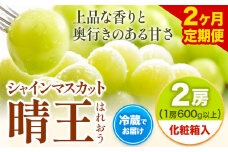 【2ヶ月定期便】 シャインマスカット晴王 はれおう 2房入り(1房600g以上) 化粧箱入 株式会社山博(中本青果)《8月・9月計2回出荷予定》 定期 計2回お届け 岡山県 浅口市 ぶどう マスカット 大粒 フルーツ 秀品 果物 ギフト 送料無料【配送不可地域あり】 st-p