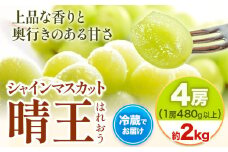 【2025年先行予約】【ふるさと納税】シャインマスカット晴王 はれおう 4房(1房480g以上)  約2kg 株式会社山博(中本青果)《2025年8月下旬-10月中旬頃出荷》岡山県 浅口市 シャインマスカット 晴王 ぶどう マスカット 大粒 フルーツ 秀品 旬 果物 贈り物 ギフト 国産 岡山県産 送料無料 【配送不可地域あり】