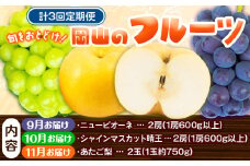 フルーツ 定期便 果物 定期便【2025年先行予約】定期便3回コース 岡山のフルーツ ニューピオーネ 2房 (1房600g以上) シャインマスカット 晴王 2房 (1房600g以上) あたご梨 2玉 (1玉約750g) 化粧箱入り 株式会社山博(中本青果) 《2025年9月上旬-11月下旬頃出荷》 岡山県 浅口市 送料無料 【配送不可地域あり】