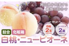 桃 ピオーネ フルーツセット【2026年先行予約】詰合 白桃 1玉220g以上 2玉・ニューピオーネ 1房480g以上 2房 化粧箱入り 株式会社山博(中本青果)《2026年7月下旬-8月中旬頃出荷》岡山県 浅口市 ぶどう フルーツ ギフト 贈答用 旬 果物 国産 岡山県産 送料無料【配送不可地域あり】