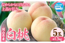 【令和7年度先行予約】岡山県産 白桃 内容量 5玉（約1.3kg） クール便 晴れの国 おかやま館(フルーツランド岡山) 《2025年7月上旬-8月中旬頃出荷》岡山県 浅口市 白桃 桃【配送不可地域あり】（離島） st-p