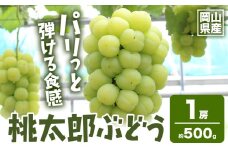 【2025年先行予約】岡山県産 桃太郎ぶどう1房 約500g《2025年9月上旬‐10月中旬頃出荷》晴れの国 おかやま館(フルーツランド岡山) 岡山県 浅口市 フルーツ 果物 青果 旬 葡萄 ぶどう【配送不可地域あり】（離島） st-p